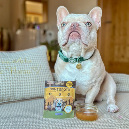 Bone Broth - Dehydrated