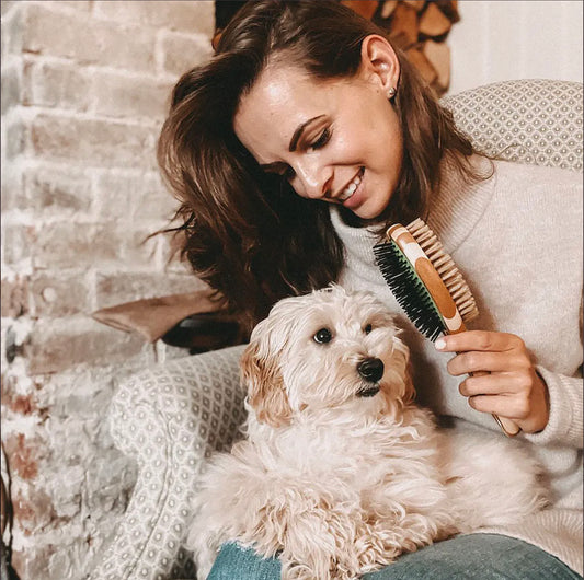 Dog Brush