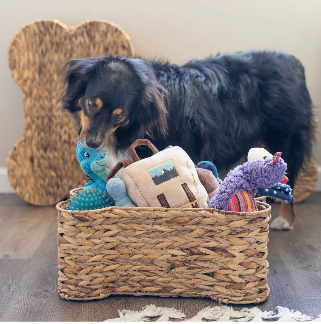 Bone Shaped Toy Box