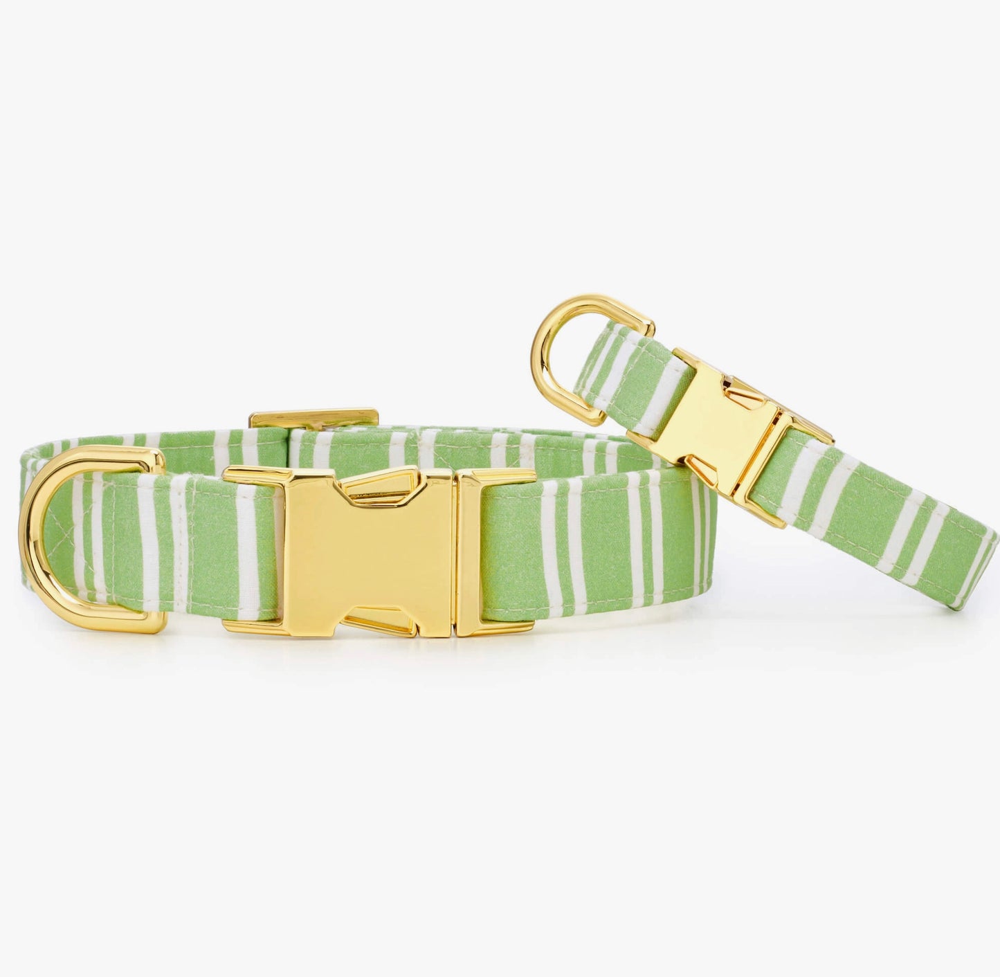 Sprout Stripe Dog Collar