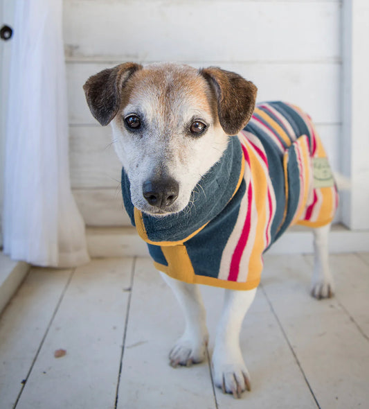 Dog Dressing Gowns - Beach