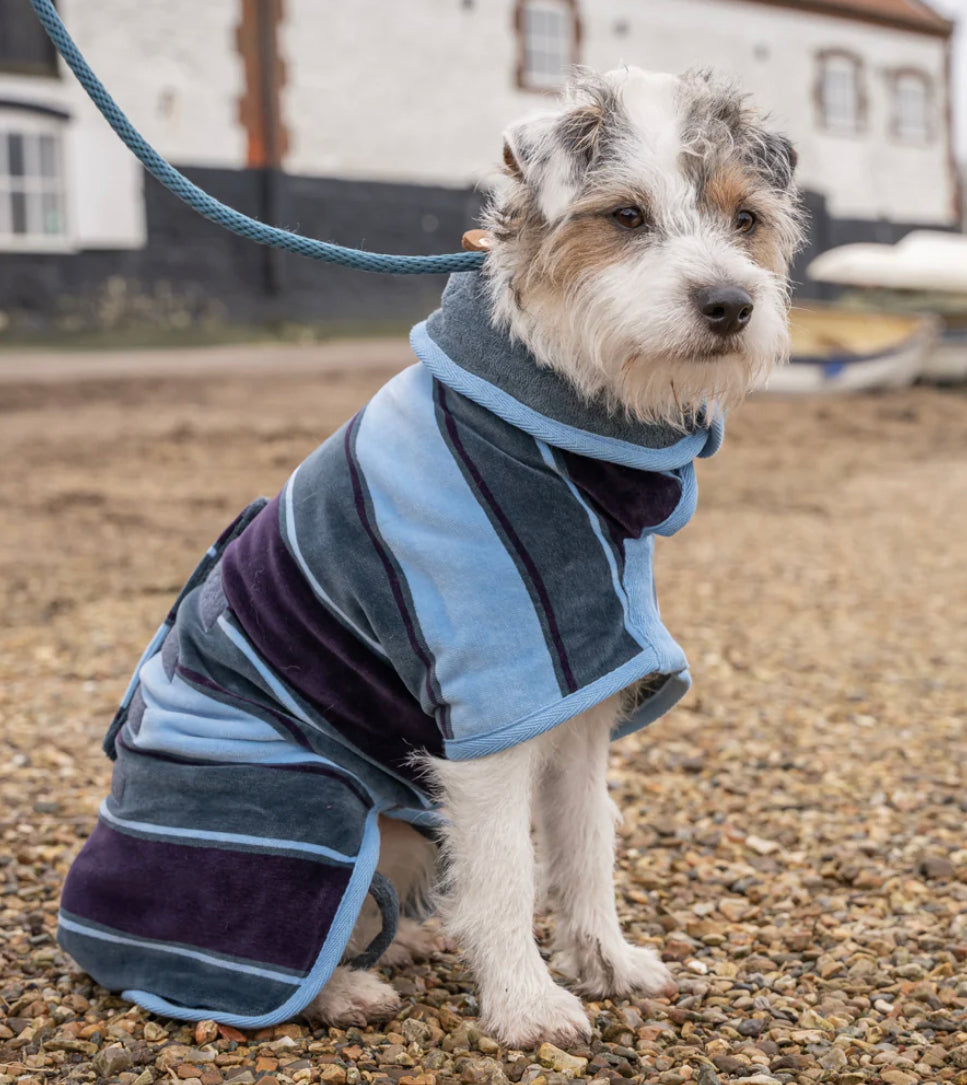 Dog Dressing Gowns - Harbour