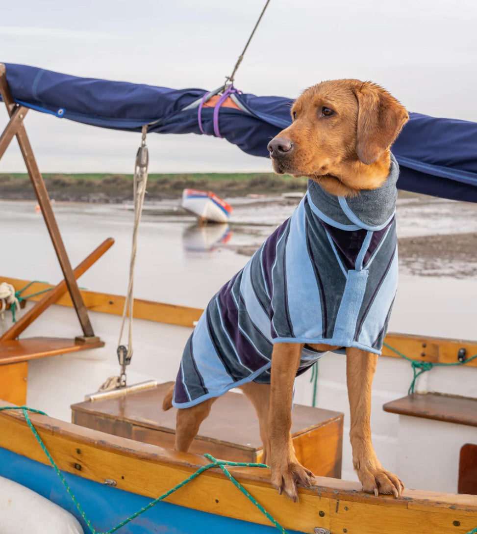 Dog Dressing Gowns - Harbour