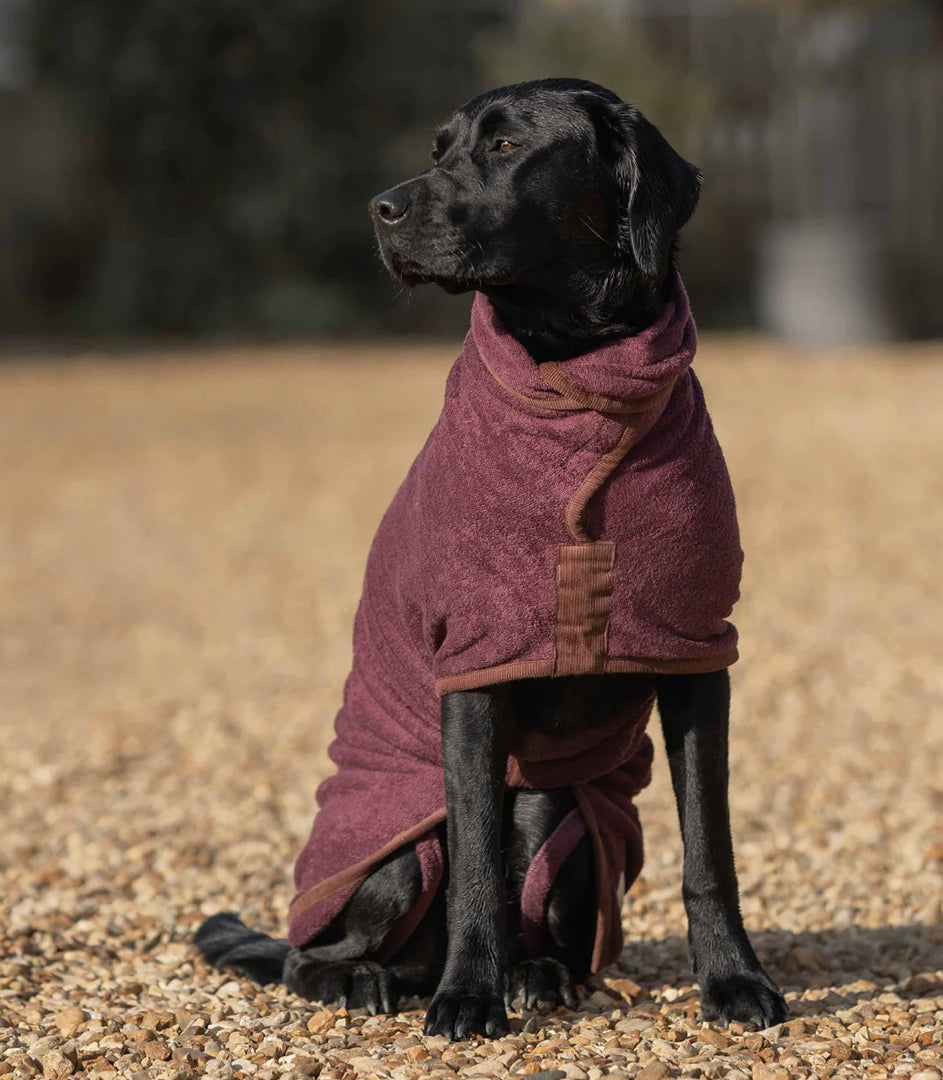 Dog Dressing Gown - Burgundy