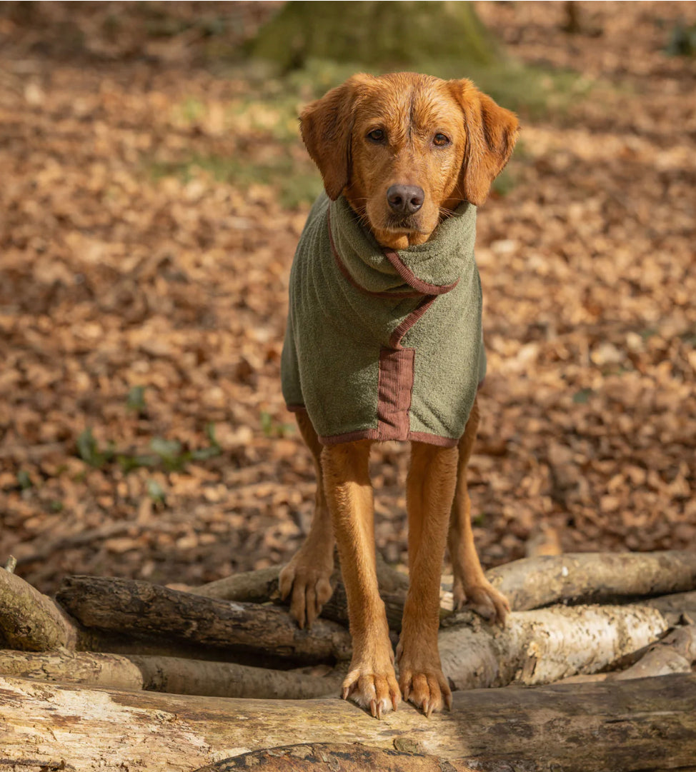 Dog Dressing Gown - Moss