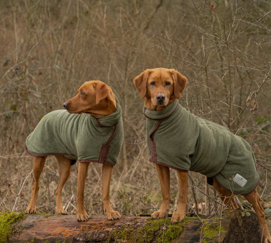 Dog Dressing Gown - Moss