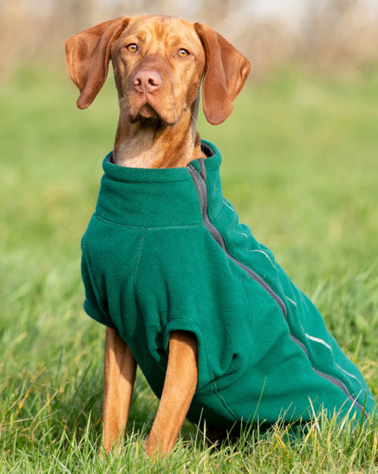 Fleece Jumper - Green