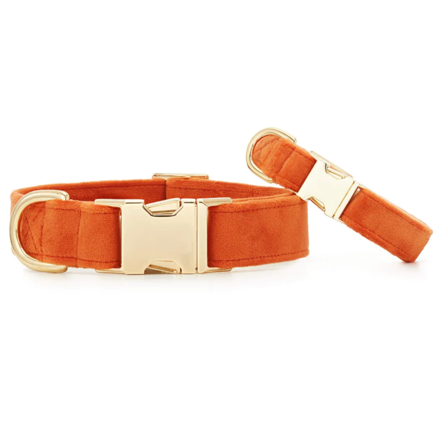 Foggy Dog Pumpkin Velvet Dog Collar