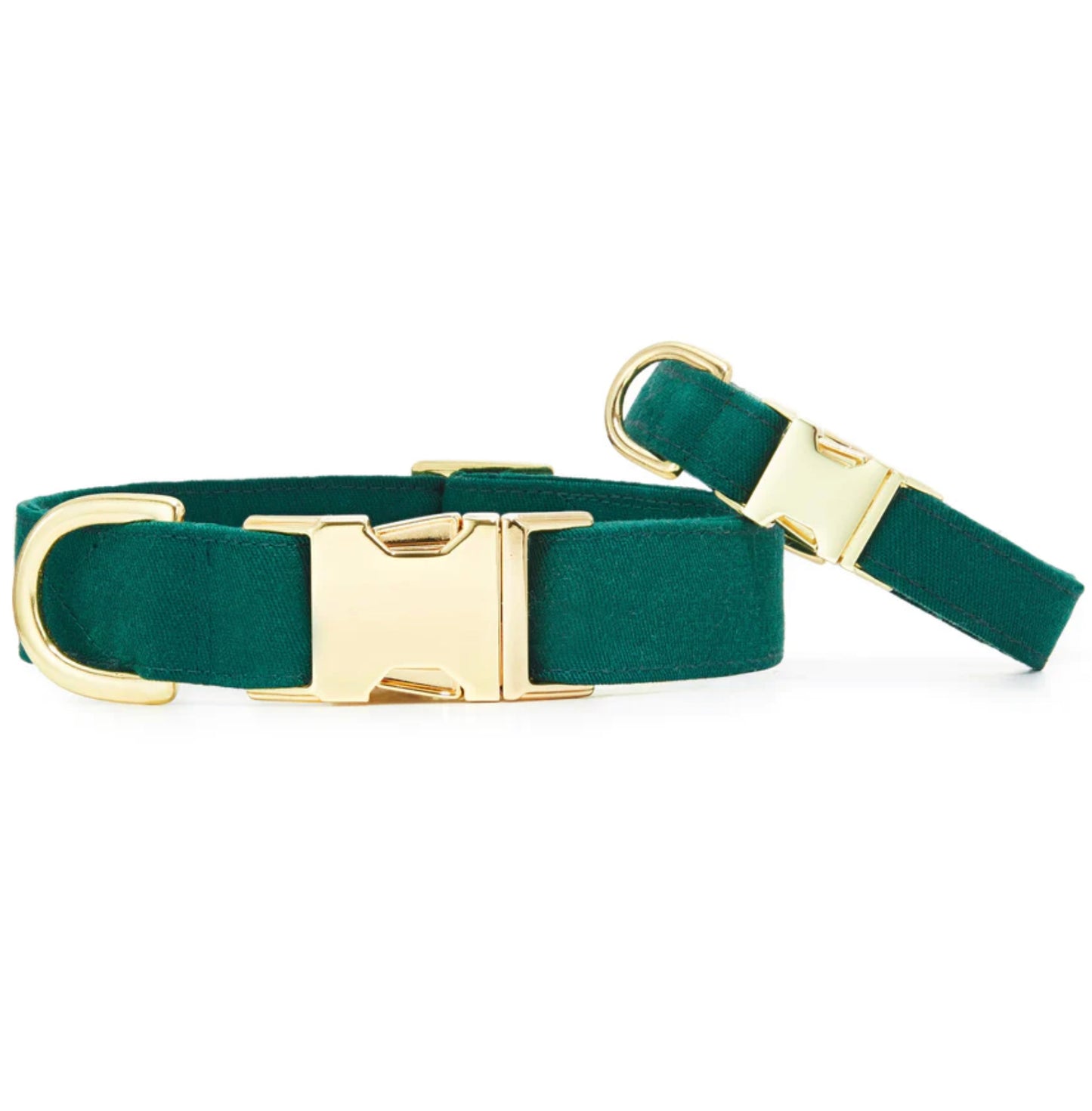 Foggy Dog Evergreen Dog Collar