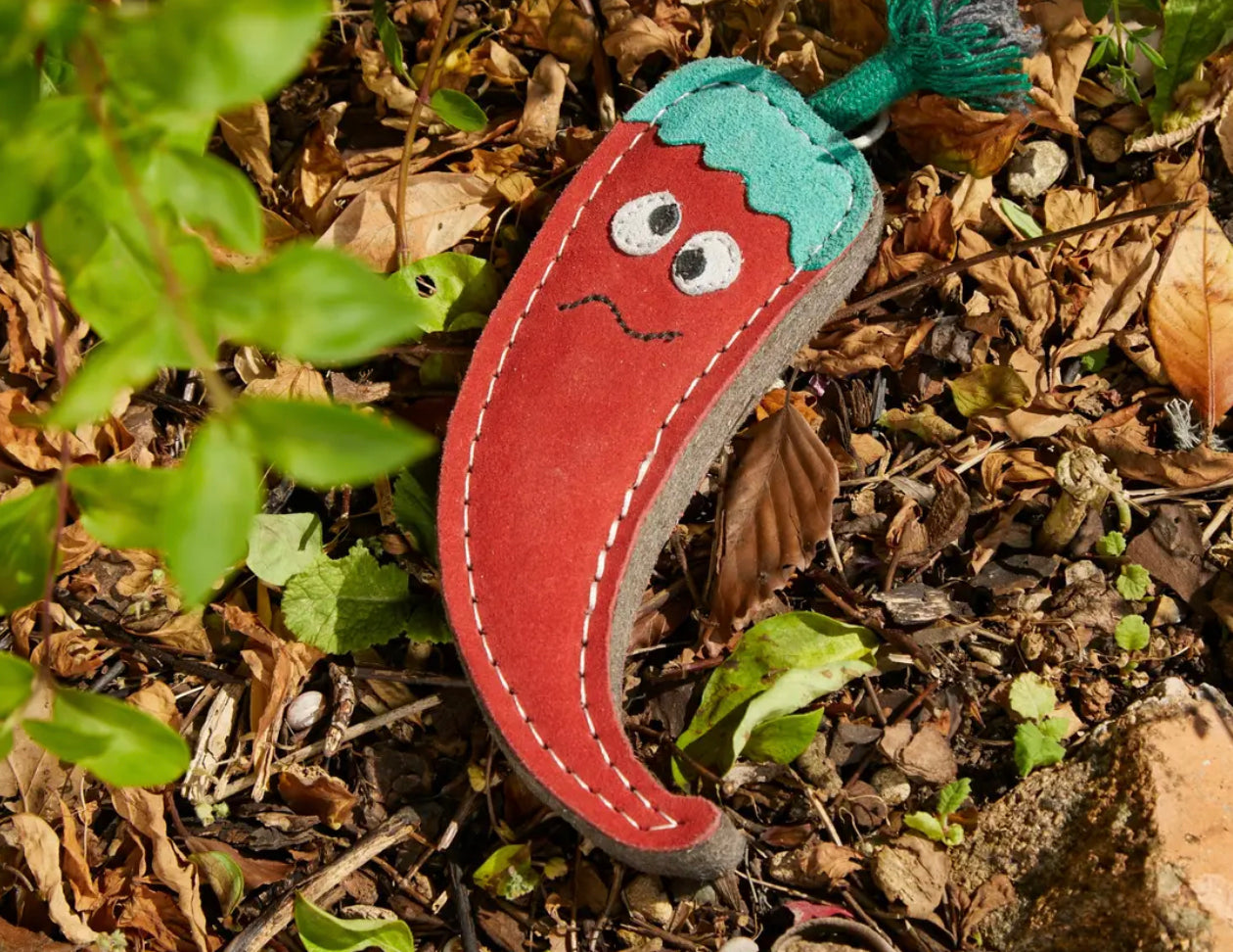 Eco Dog Toy