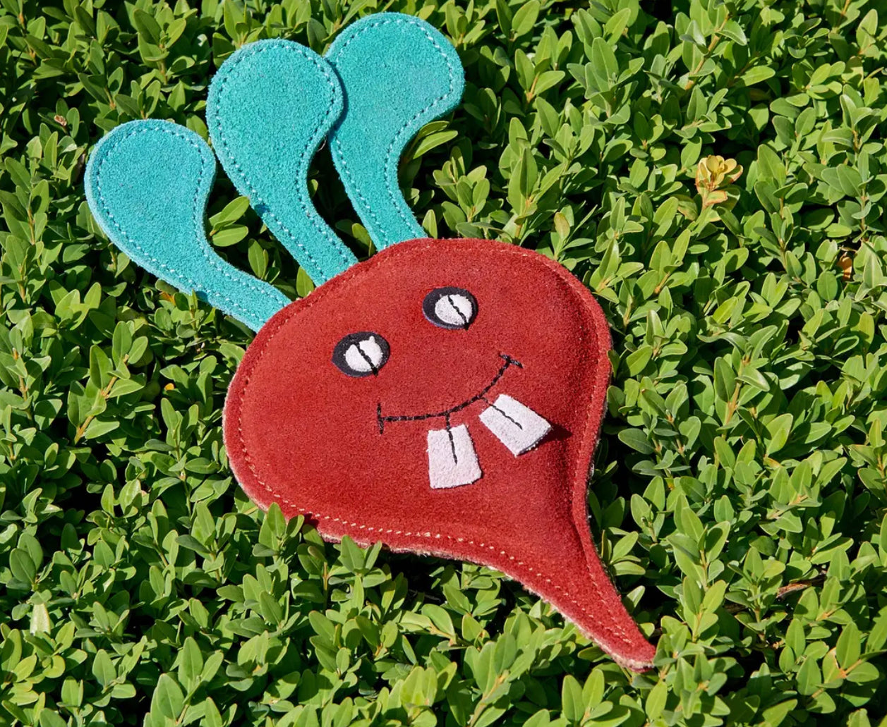 Eco Dog Toy