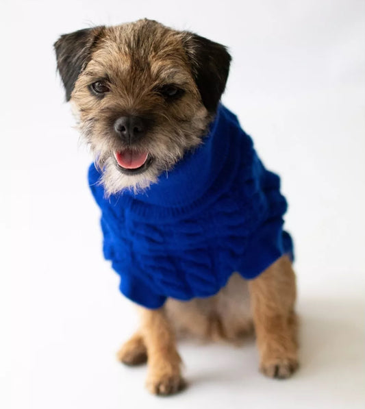 Rascal Jumper - Royal Blue