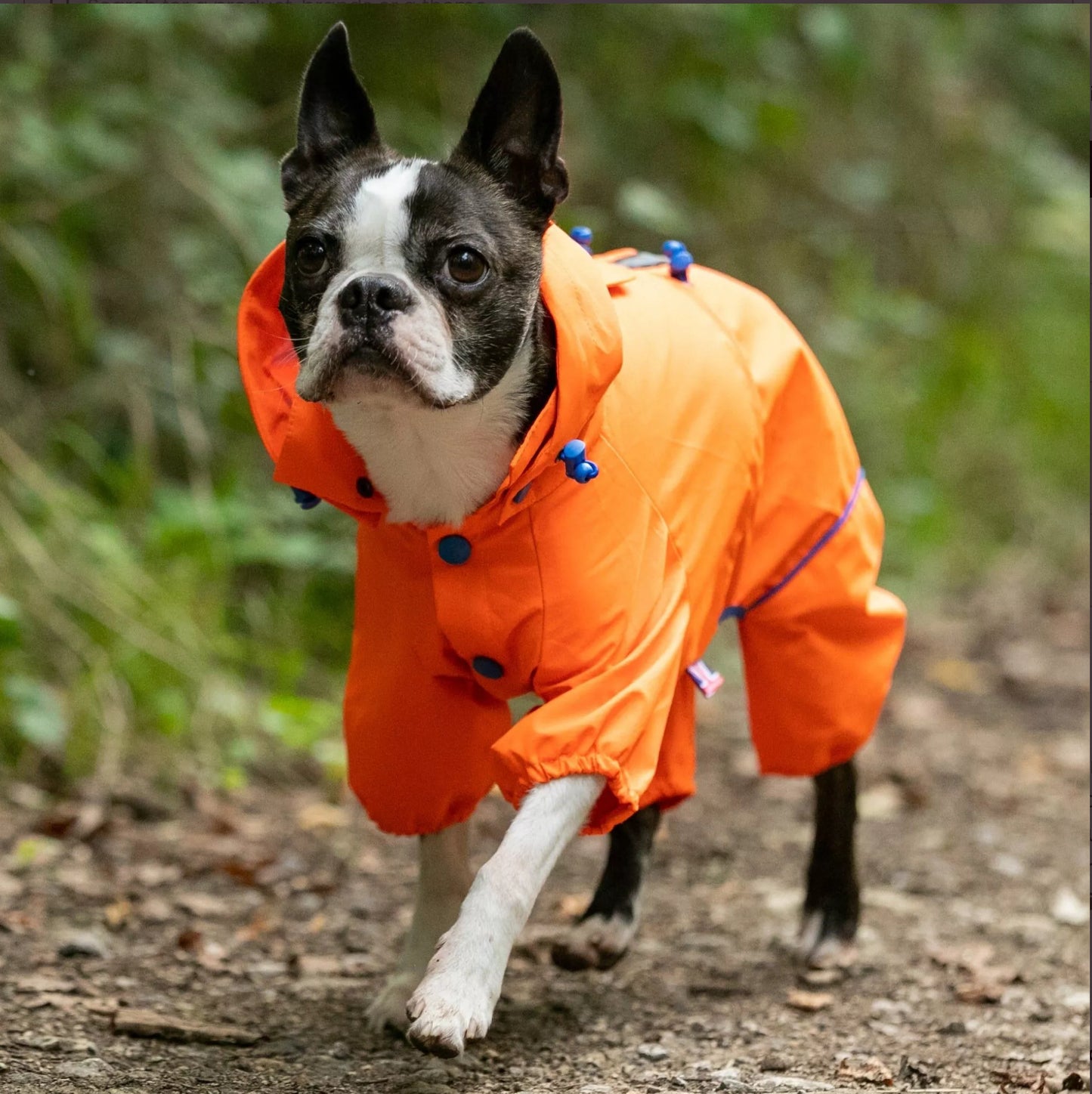 Reflective Dog Overalls