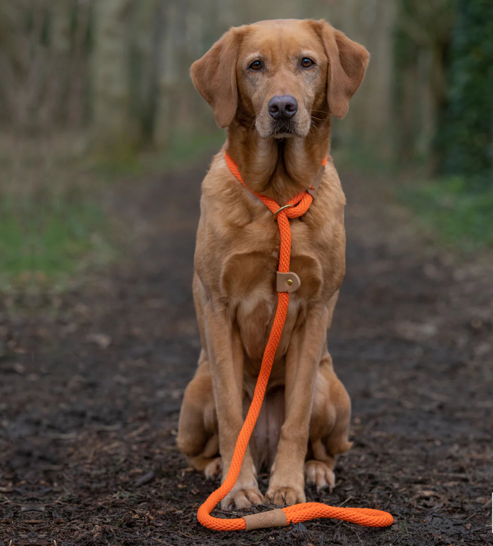 Ruff & Tumble Lead - Tangerine