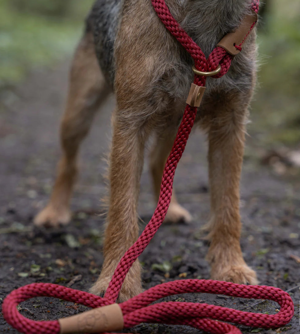 Ruff & Tumble Lead - Rosehip