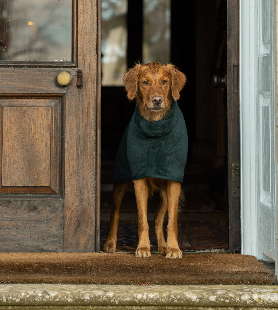 Dog Dressing Gown - Forest