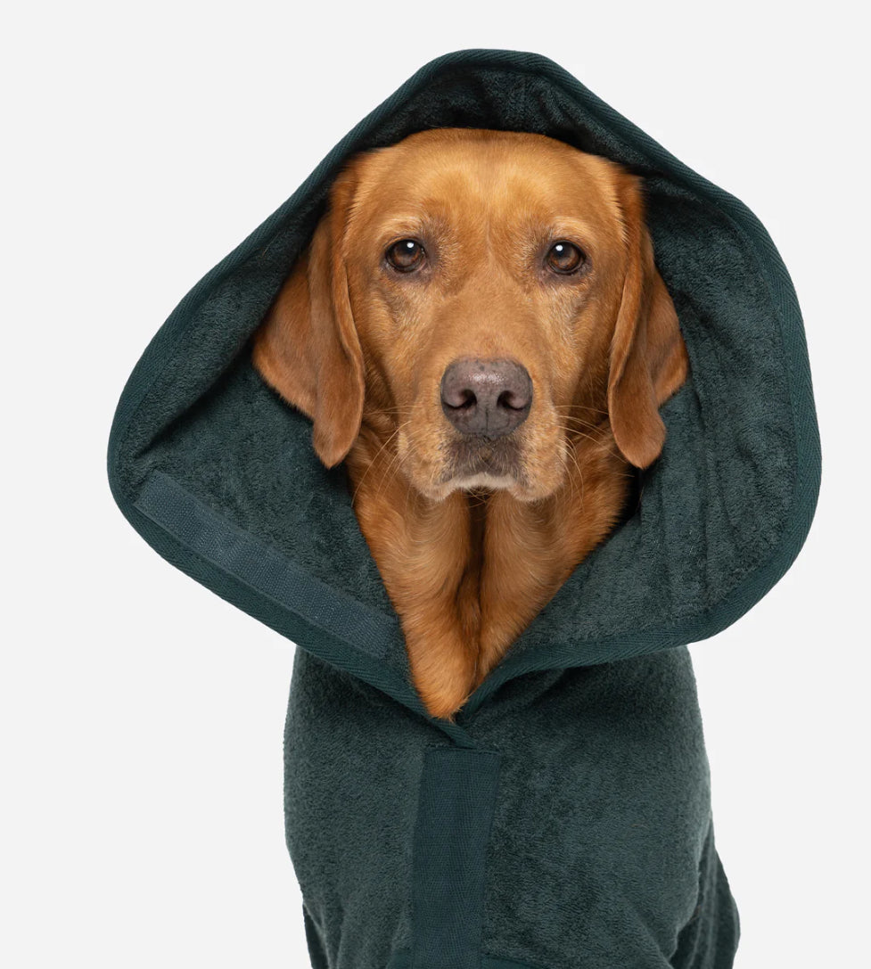 Dog Dressing Gown - Forest