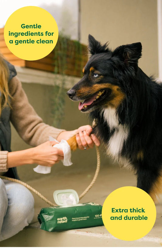 Plant-Based Dog Grooming Wipes