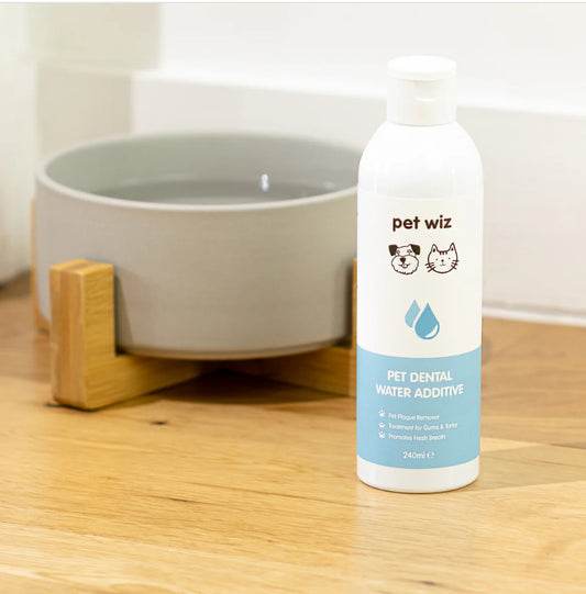 Dental Water