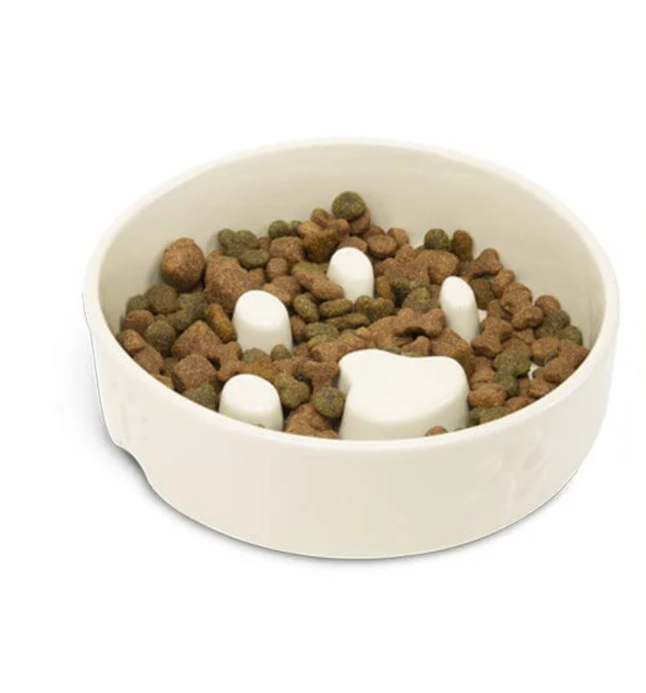 Ceramic Dog Bowl