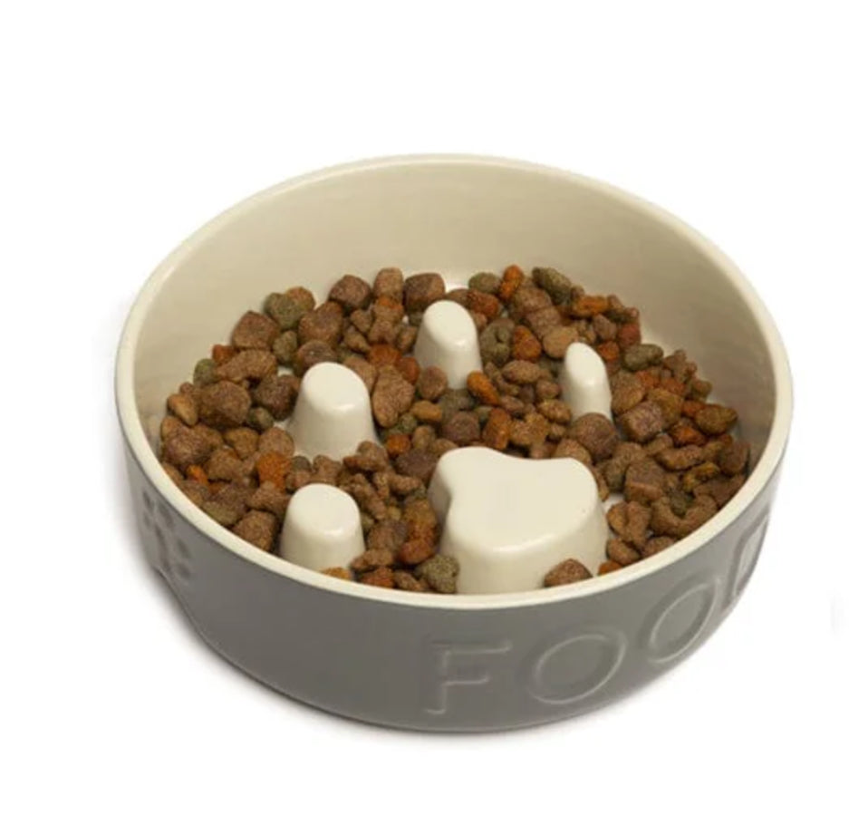 Ceramic Dog Bowl