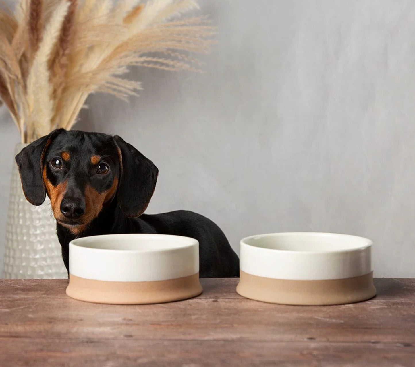 Ceramic Dog Bowl