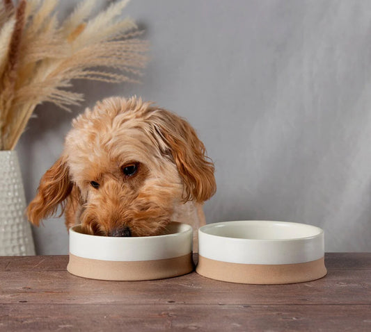 Ceramic Dog Bowl