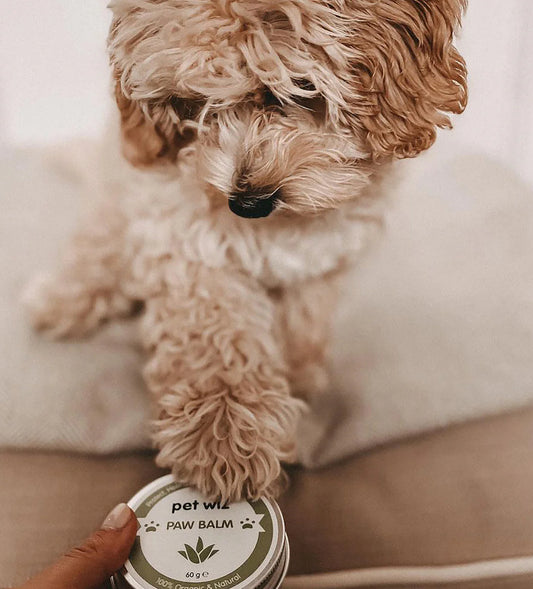 Paw Balm
