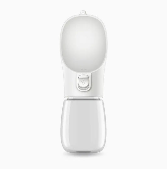 Travel Water Bottle