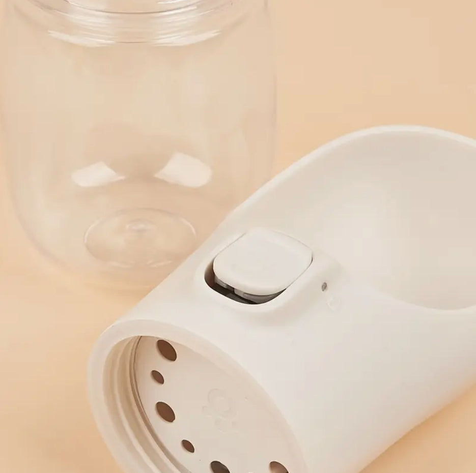 Travel Water Bottle
