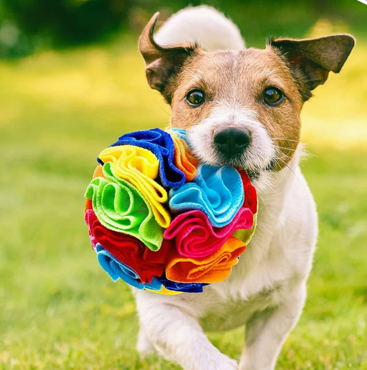 Hollibels Snuffle Toy