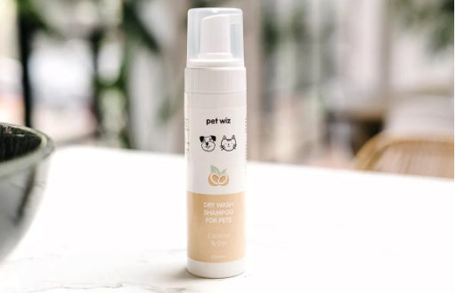 Dry Shampoo—Aloe, Coconut & Oat