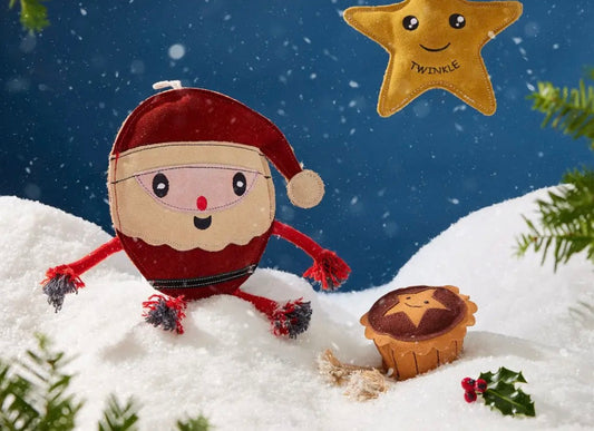 Chris Christmas
