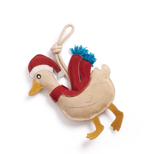 Donna Duck